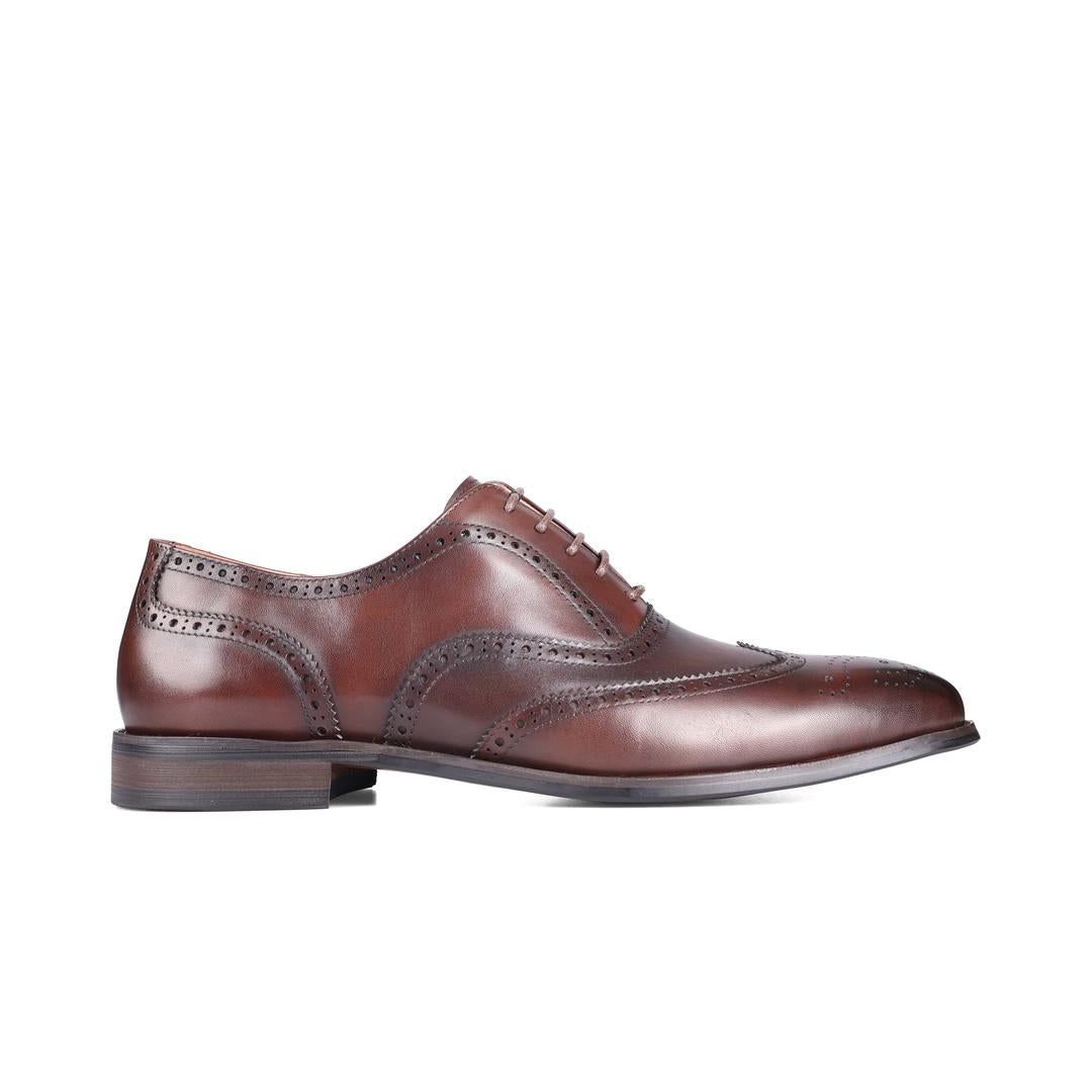 Sledgers Nolan Brogue Oxfords - Brown