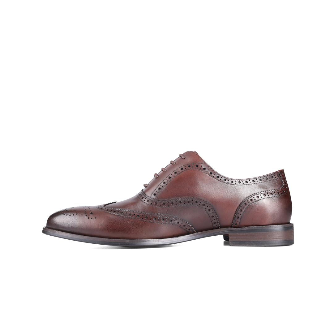 Sledgers Nolan Brogue Oxfords - Brown
