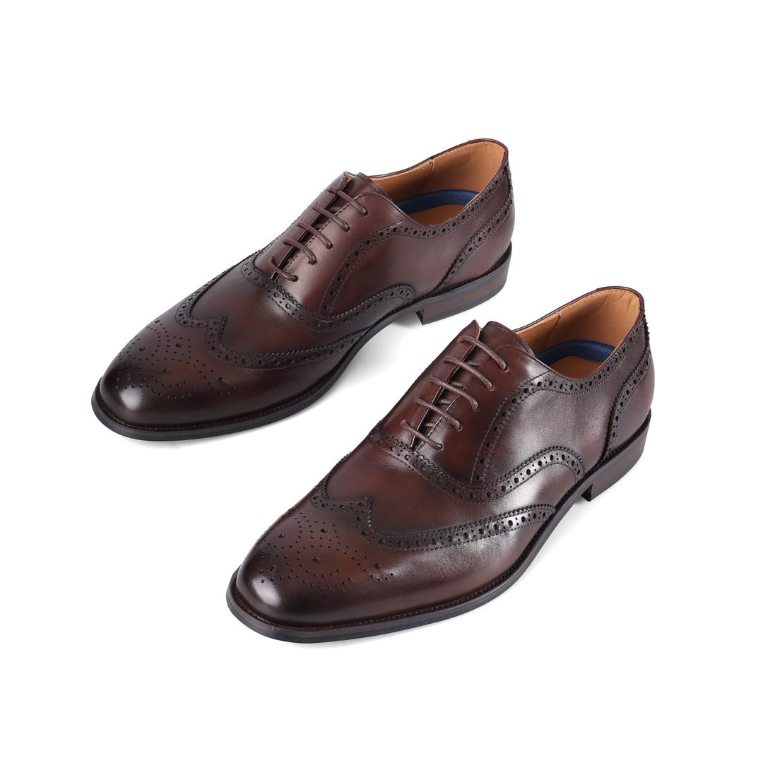 Sledgers Nolan Brogue Oxfords - Brown